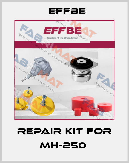 Repair Kit for MH-250  Effbe
