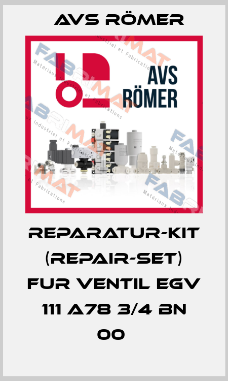 REPARATUR-KIT (REPAIR-SET) FUR VENTIL EGV 111 A78 3/4 BN 00  Avs Römer