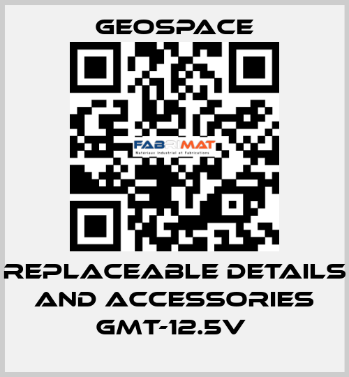 REPLACEABLE DETAILS AND ACCESSORIES GMT-12.5V  GeoSpace