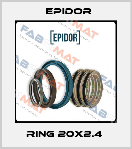RING 20X2.4  Epidor