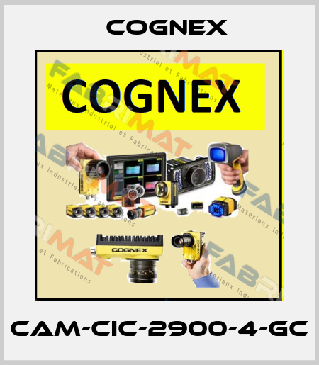 CAM-CIC-2900-4-GC Cognex