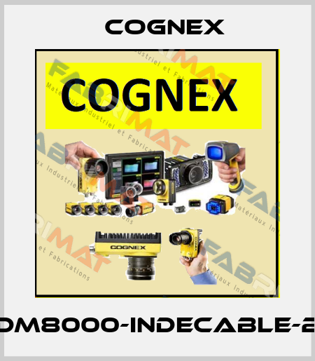 DM8000-INDECABLE-2 Cognex