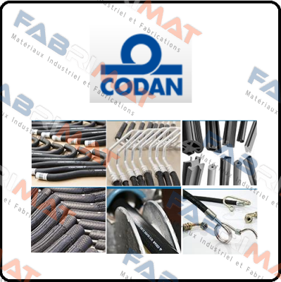 3009013000 Codan