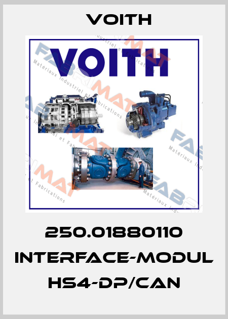 250.01880110 INTERFACE-Modul HS4-DP/CAN Voith