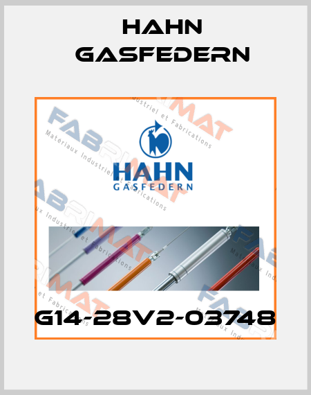 G14-28V2-03748 Hahn Gasfedern
