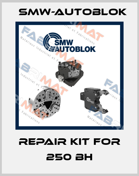 Repair kit for 250 BH Smw-Autoblok