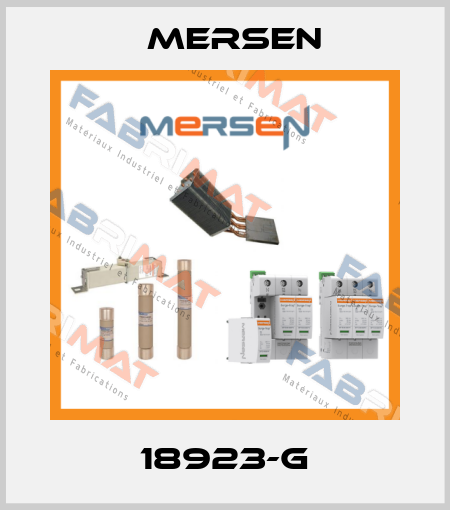 18923-G Mersen