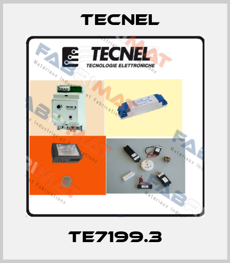 TE7199.3 Tecnel