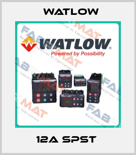 12A SPST  Watlow