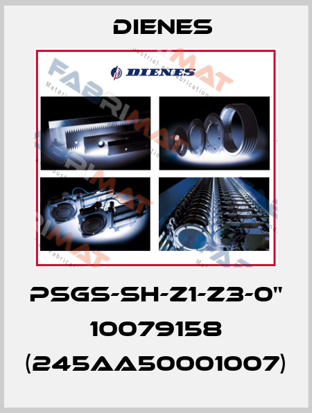 PSGs-SH-Z1-Z3-0" 10079158 (245AA50001007) Dienes