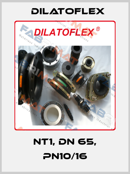 NT1, DN 65, PN10/16 DILATOFLEX