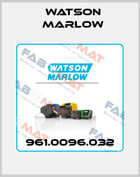 961.0096.032 Watson Marlow