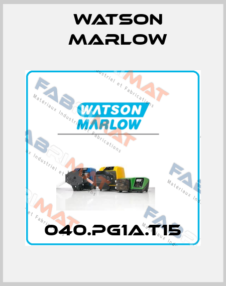 040.PG1A.T15 Watson Marlow
