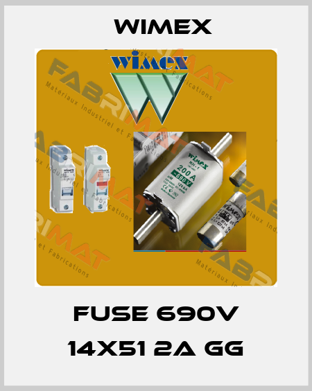  FUSE 690V 14X51 2A GG Wimex