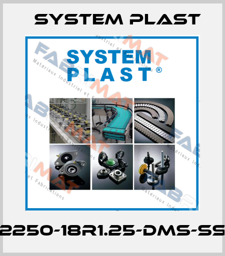 2250-18R1.25-DMS-SS System Plast