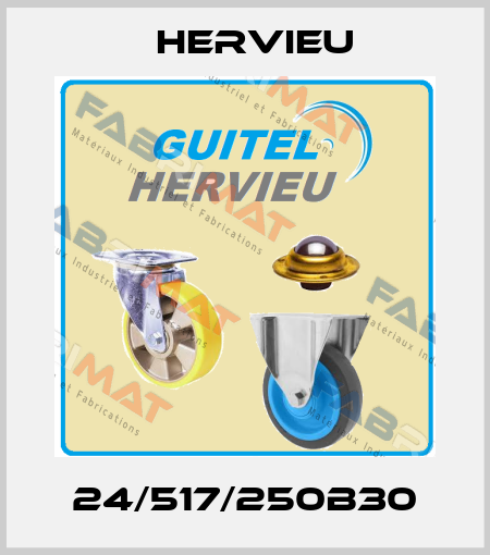 24/517/250B30 Hervieu