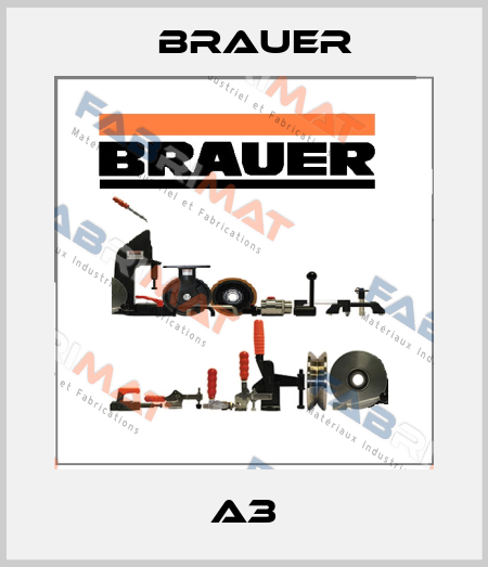 A3 Brauer