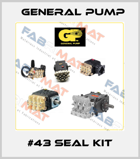 #43 SEAL KIT General Pump