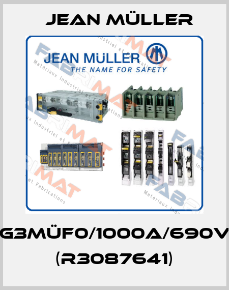 G3Müf0/1000A/690V (R3087641) Jean Müller
