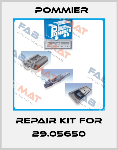 Repair kit for 29.05650 Pommier