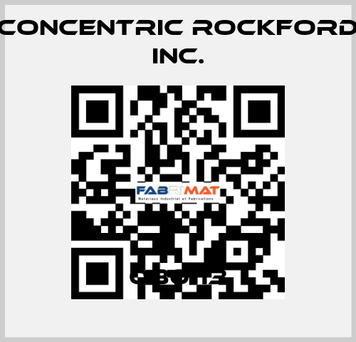 080113 Concentric Rockford Inc.