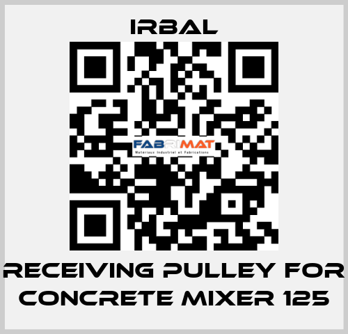 receiving pulley for Concrete mixer 125 irbal