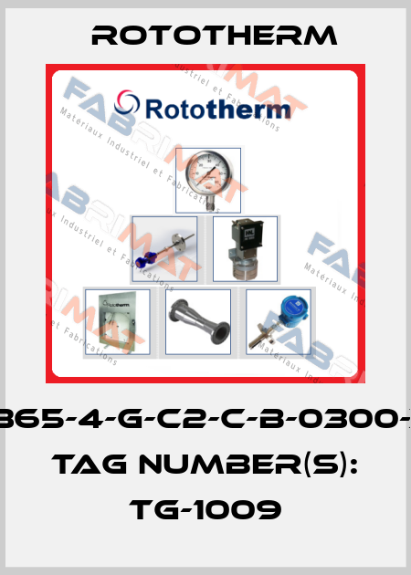 BH365-4-G-C2-C-B-0300-X-R Tag Number(s): TG-1009 Rototherm