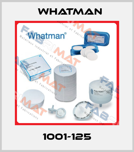 1001-125 Whatman