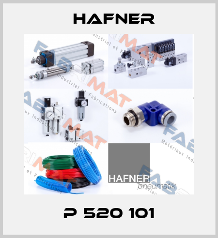 P 520 101 Hafner