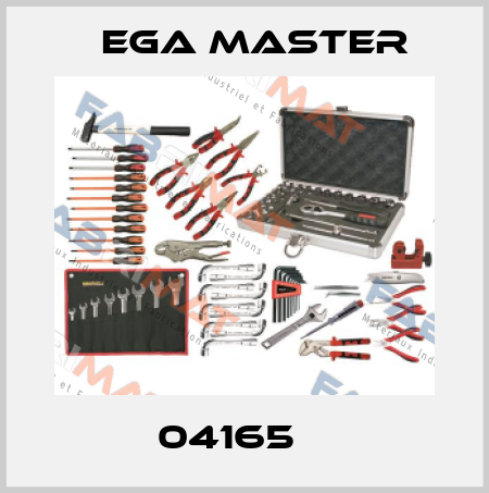 04165    EGA Master