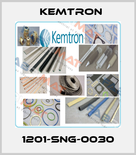 1201-sng-0030 KEMTRON