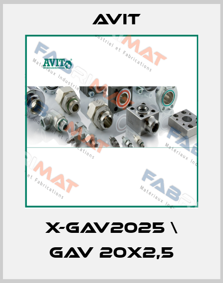 X-GAV2025 \ GAV 20X2,5 Avit