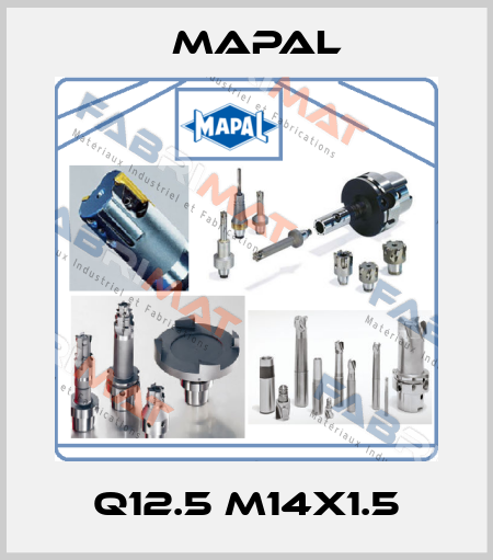 Q12.5 M14X1.5 Mapal