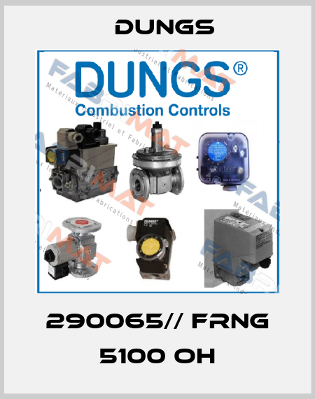 290065// FRNG 5100 OH Dungs