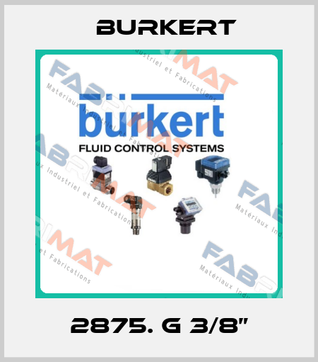 2875. G 3/8” Burkert