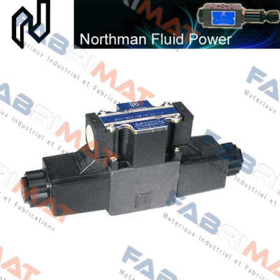  ER-G01-3-31  VALVE Northman