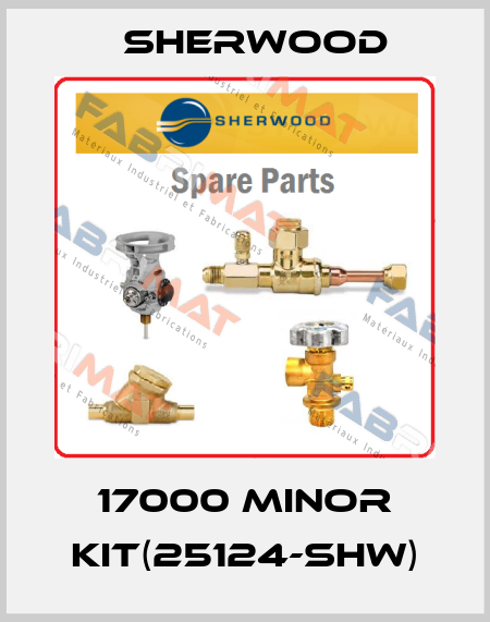 17000 MINOR KIT(25124-SHW) Sherwood