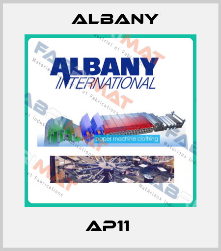  AP11  Albany