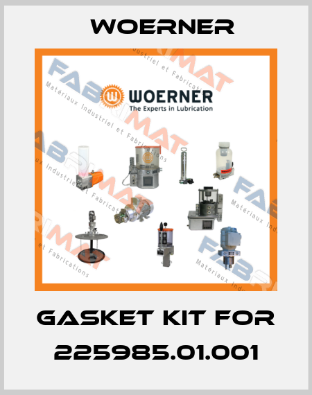 Gasket kit for 225985.01.001 Woerner