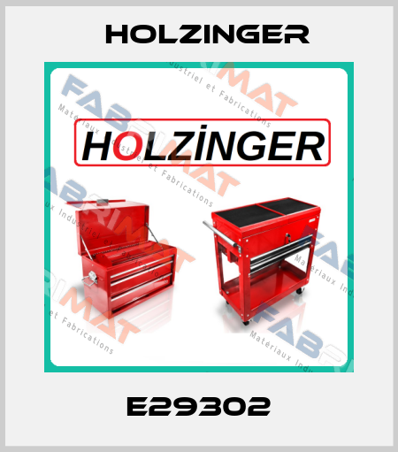 E29302 holzinger
