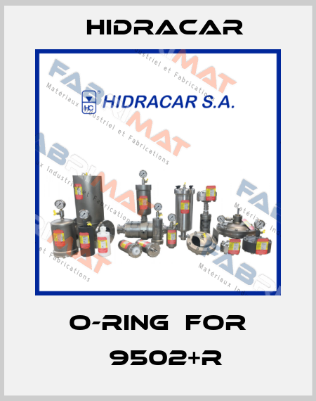 o-ring  for Р9502+R Hidracar