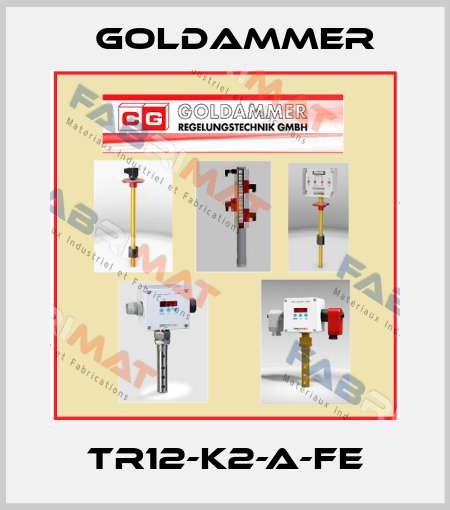  TR12-K2-A-FE Goldammer