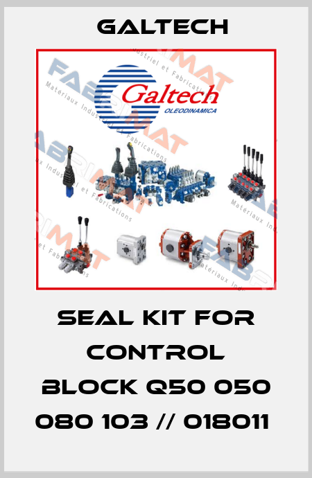 SEAL KIT FOR CONTROL BLOCK Q50 050 080 103 // 018011  Galtech