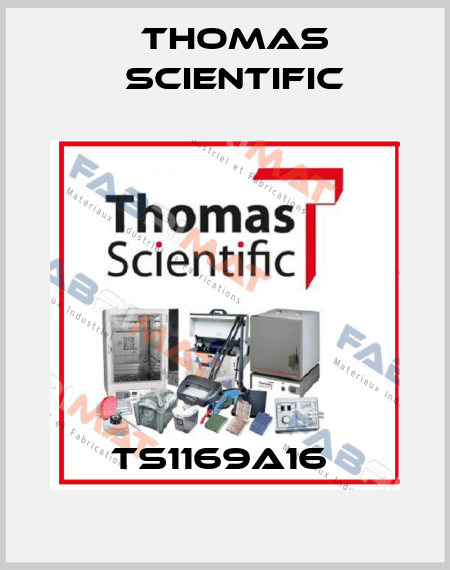 TS1169A16  Thomas Scientific