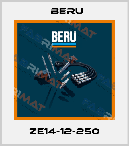ZE14-12-250 Beru