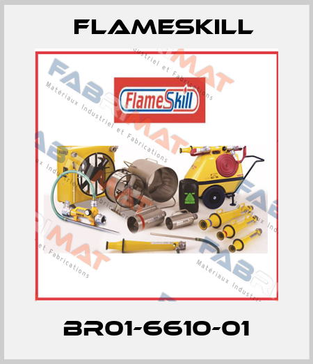 BR01-6610-01 FlameSkill