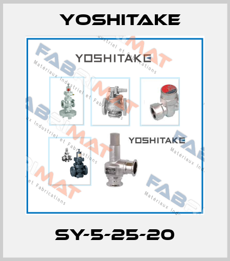 SY-5-25-20 Yoshitake
