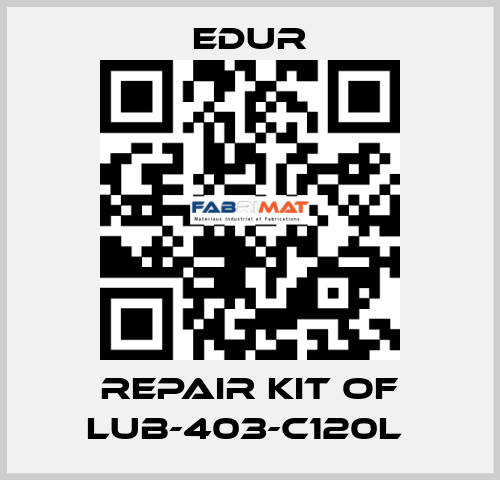 REPAIR KIT OF LUB-403-C120L  Edur