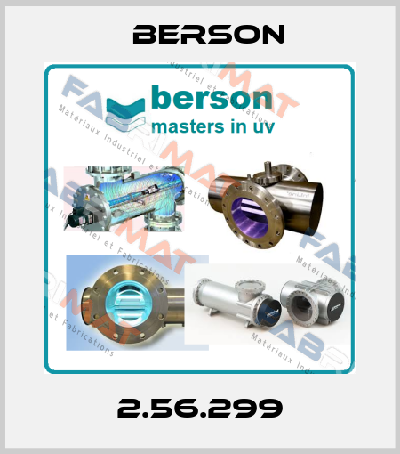 2.56.299 Berson