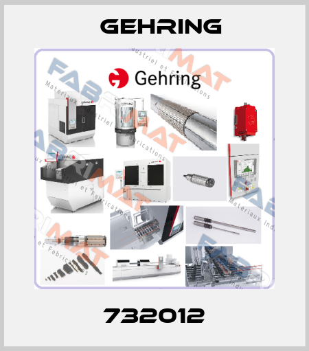 732012 Gehring